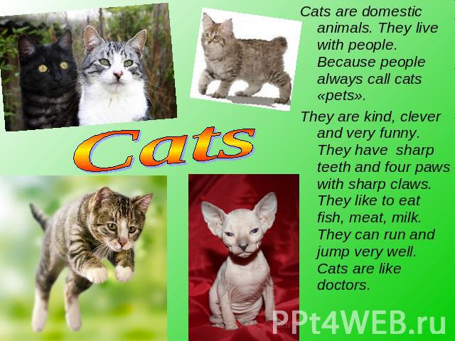 Cats Cats are domestic animals. They live with people. Because people always call cats «pets».They are kind, clever and very funny. They have sharp teeth and four paws with sharp claws. They like to eat fish, meat, milk. They can run and jump very w…
