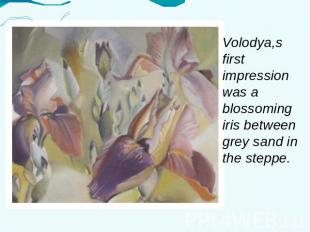 Volodya,s first impression was a blossoming iris between grey sand in the steppe