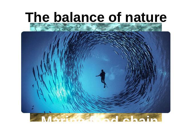 The balance of nature Marine food chain