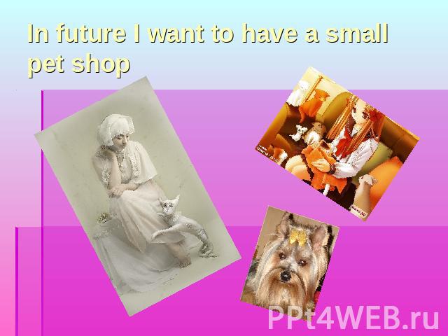 In future I want to have a small pet shop