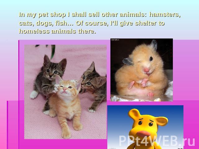 In my pet shop I shall sell other animals: hamsters, cats, dogs, fish… Of course, I’ll give shelter to homeless animals there.