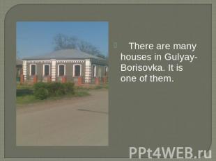 There are many houses in Gulyay-Borisovka. It is one of them.