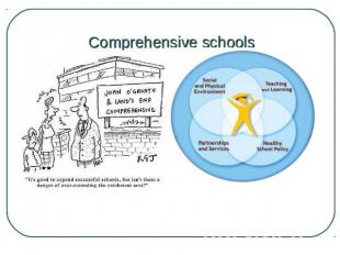 Comprehensive schools Nowadays most British children (over 80 per cent) go to co