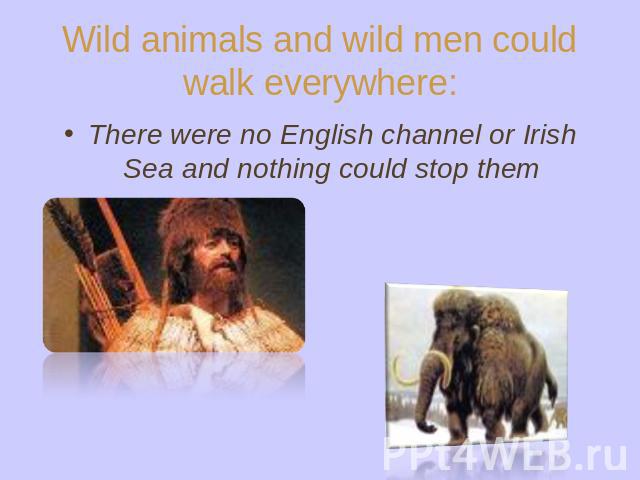 Wild animals and wild men could walk everywhere: There were no English channel or Irish Sea and nothing could stop them
