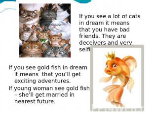 If you see a lot of cats in dream it means that you have bad friends. They are d