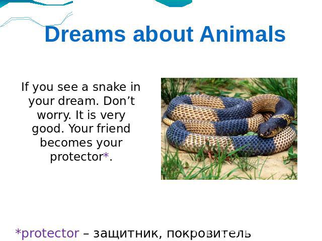 Dreams about Animals If you see a snake in your dream. Don’t worry. It is very good. Your friend becomes your protector*. *protector – защитник, покровитель