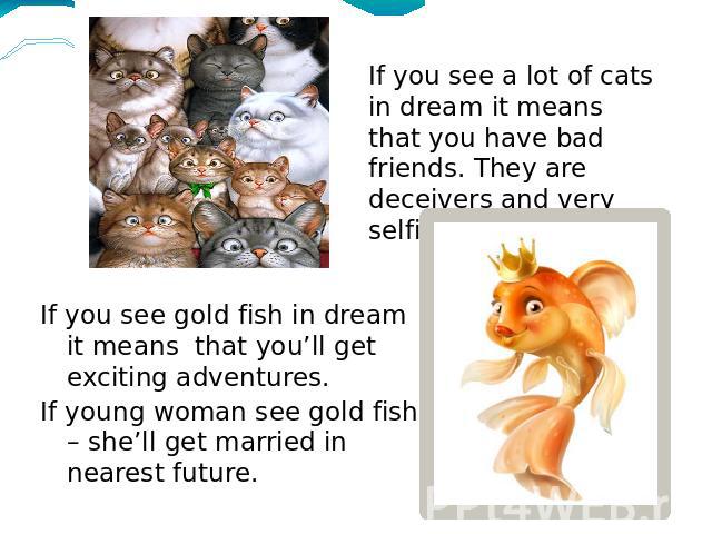 If you see a lot of cats in dream it means that you have bad friends. They are deceivers and very selfish. If you see gold fish in dream it means that you’ll get exciting adventures.If young woman see gold fish – she’ll get married in nearest future.