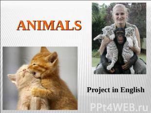 Animals Project in English