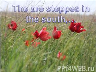 The are steppes in the south,…