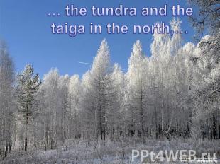… the tundra and the taiga in the north,…