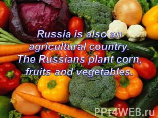 Russia is also an agricultural country.The Russians plant corn, fruits and veget