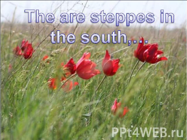 The are steppes in the south,…