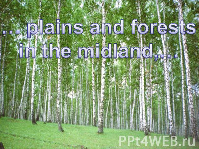 … plains and forests in the midland,…