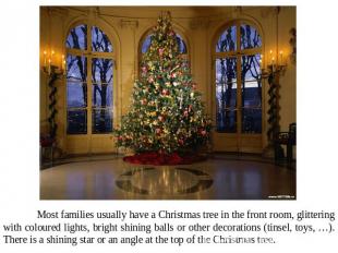 Most families usually have a Christmas tree in the front room, glittering with c