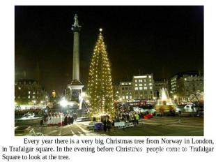 Every year there is a very big Christmas tree from Norway in London, in Trafalga