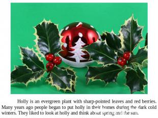 Holly is an evergreen plant with sharp-pointed leaves and red berries. Many year