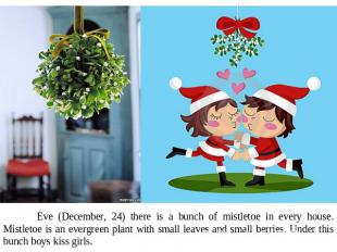 Eve (December, 24) there is a bunch of mistletoe in every house. Mistletoe is an