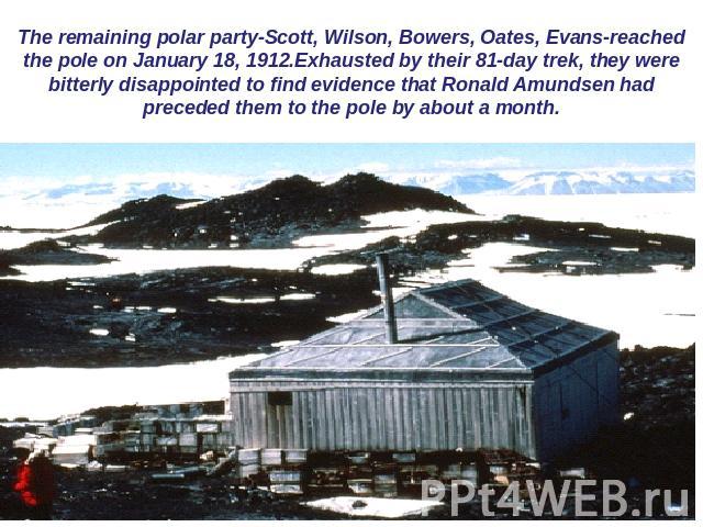 The remaining polar party-Scott, Wilson, Bowers, Oates, Evans-reached the pole on January 18, 1912.Exhausted by their 81-day trek, they were bitterly disappointed to find evidence that Ronald Amundsen had preceded them to the pole by about a month.