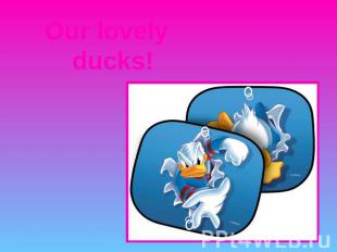 Our lovely ducks!