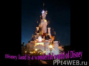 Disney land is a wonderful world of Disney