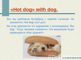 «Hot dog» with dog. Все мы пробовали бутерброд с горячей сосиской. Он называется