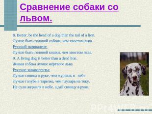 Сравнение собаки со львом. 8. Better, be the head of a dog than the tail of a li