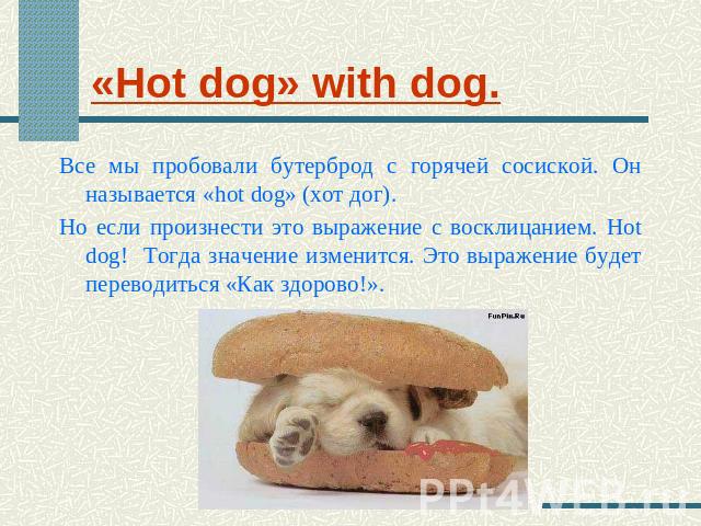 «Hot dog» with dog. Все мы пробовали бутерброд с горячей сосиской. Он называется «hot dog» (хот дог).Но если произнести это выражение с восклицанием. Hot dog! Тогда значение изменится. Это выражение будет переводиться «Как здорово!».
