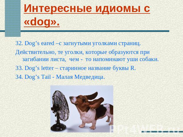 Интересные идиомы с «dog». 32. Dog’s earеd –с загнутыми уголками страниц. Действительно, те уголки, которые образуются при загибании листа, чем - то напоминают уши собаки.33. Dog’s letter – старинное название буквы R.34. Dog’s Tail - Малая Медведица.