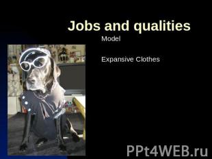 Jobs and qualitiesModelExpansive Clothes