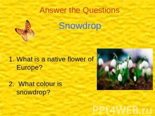 Answer the Questions Snowdrop What is a native flower of Europe?2. What colour i