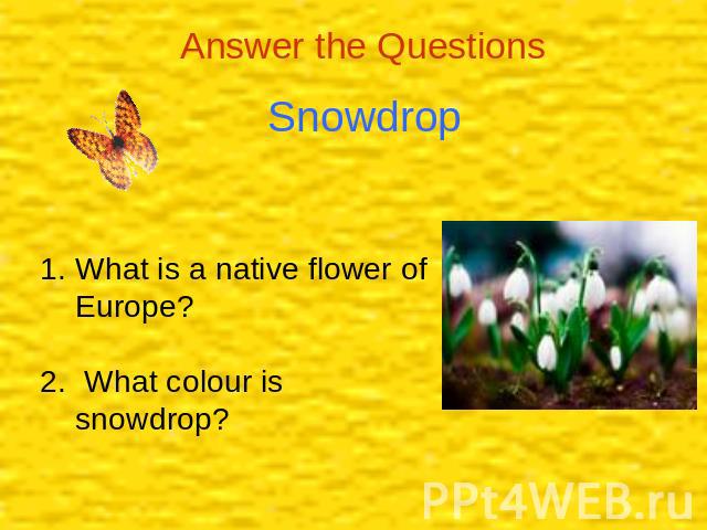 Answer the Questions Snowdrop What is a native flower of Europe?2. What colour is snowdrop?