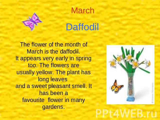 Daffodil The flower of the month of March is the daffodil.It appears very early in spring too. The flowers areusually yellow. The plant has long leaves and a sweet pleasant smell. It has been afavourite flower in many gardens.