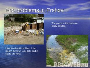 Eco problems in Ershov The ponds in the town arebadly polluted. Litter is a heal