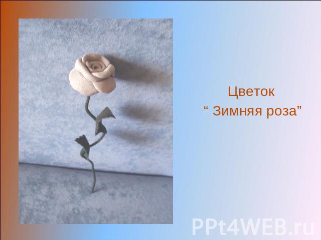Цветок“ Зимняя роза”