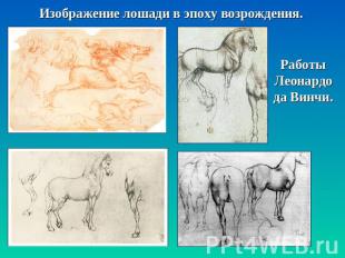 Изображение лошади в эпоху возрождения. Работы Леонардо да Винчи.