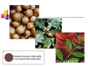 Луковая шелуха, кора дуба и хна (растение лавсония)