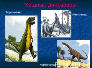 Хищные динозавры ТиранозаврАпатозавр Компсогнат