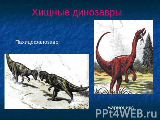 Хищные динозавры Пахицефалозавр Барионикс