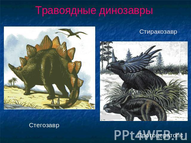 Травоядные динозавры Стегозавр Стиракозавр Протоцератопс