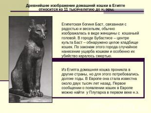 Древнейшее изображение домашней кошки в Египте относится ко 11 тысячелетию до н.