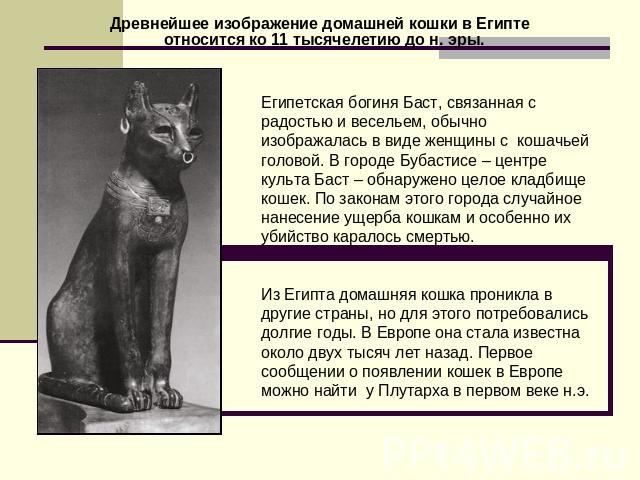 Древнейшее изображение домашней кошки в Египте относится ко 11 тысячелетию до н. эры. Египетская богиня Баст, связанная с радостью и весельем, обычно изображалась в виде женщины с кошачьей головой. В городе Бубастисе – центре культа Баст – обнаружен…