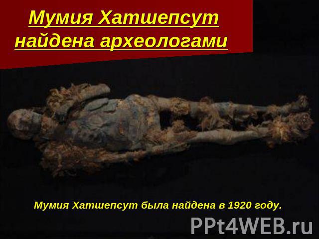Мумия Хатшепсут найдена археологами Мумия Хатшепсут была найдена в 1920 году.