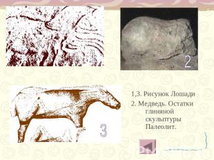 1,3. Рисунок Лошади2. Медведь. Остатки глиняной скульптуры Палеолит.