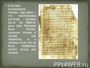 Египтяне использовали папирус (дар реки) – это тростниковое растение, которое ро