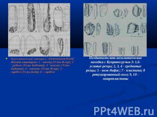 Палеолитический материал с местонахождений Ийской акватории: 1 - чоппер (Усть-Ил