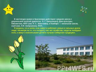 В настоящее время в Красноярке действуют средняя школа с дошкольной группой (дир