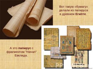 Вот такую «бумагу» делали из папируса в древнем Египте. А это папирус с фрагмент