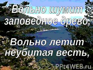 Вольно шумитзаповедное древо, Вольно летитнеубитая весть,