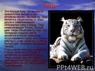 Тигр Это Белый Тигр. Он является хранителем Запада и по-китайски звучит, как Бай