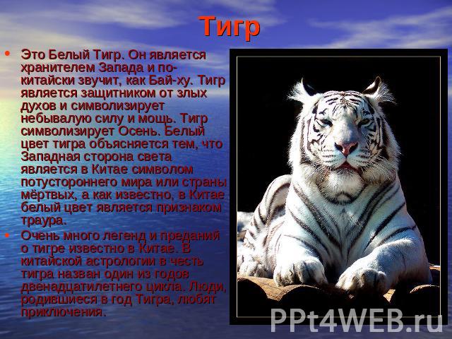 Тигр Это Белый Тигр. Он является хранителем Запада и по-китайски звучит, как Бай-ху. Тигр является защитником от злых духов и символизирует небывалую силу и мощь. Тигр символизирует Осень. Белый цвет тигра объясняется тем, что Западная сторона света…